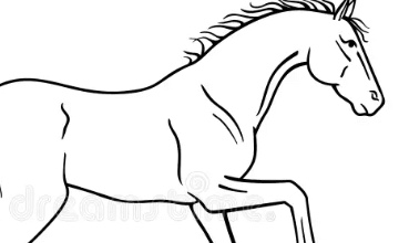 Drawing:Ljd413jlg70= Horse