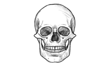 Drawing:Oldj_7nsvxk= Skulls