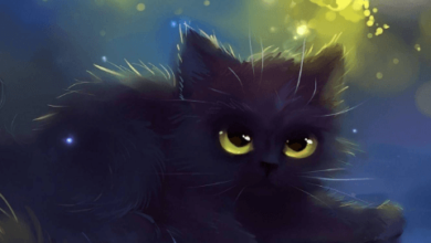 Kawaii:I3hloh_C1zu= Cat