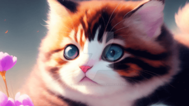 Kawaii:Mdxrjkgre8i= Cats