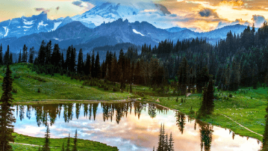 State:1ekusej-Gmi= Washington