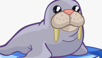 Clipart:Xxcqbtjuuj0= Walrus