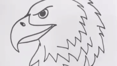 Cool:Arl6lmypj2q= Drawings