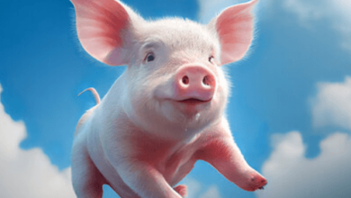Cute:Jmb_Ljazido= Piglet