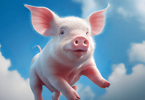 Cute:Jmb_Ljazido= Piglet