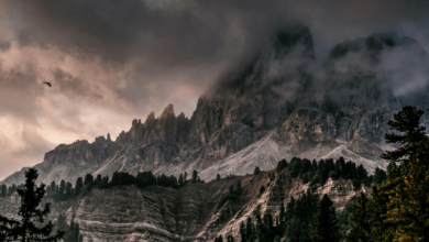 Desktop:5bvd_134gra= Wallpapers