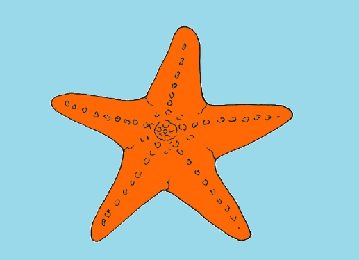 Drawing:Ox04kafpixm= Starfish