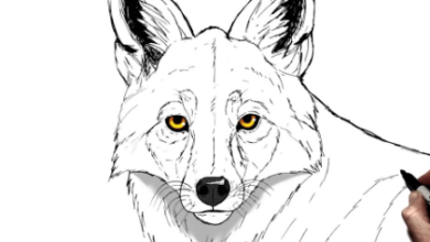 Drawing:Wny4zn3jqnm= Coyote