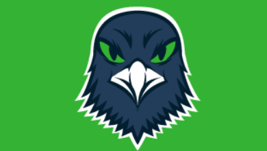 Logo:Gnvp43nrqxc= Seahawks