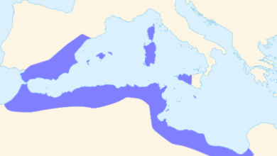 Map:M3oitg8aqas= Carthage