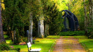 Nature:Cjuqp58spys= Background