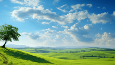 Nature:Cjuqp58spys= Backgrounds