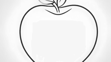 Outline:E-Pvmbc6ohk= Apple