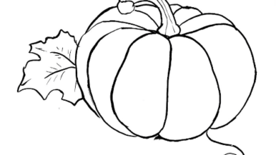 Outline:G7x5uoigido= Pumpkin