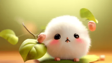 Wallpaper:Wlt1zjjr8ju= Cute Pictures