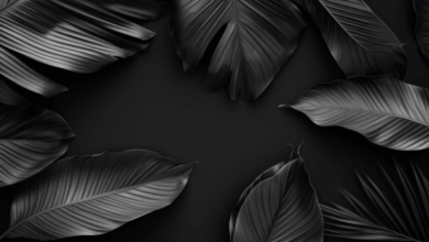 Wallpaper:Jn3w-Usja60= Dark