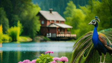 Beautiful:Pvozqnlupm8= Wallpaper