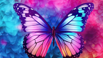 Wallpaper:Acpdg-1s3ts= Butterflies