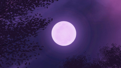 Aesthetic:Dopxvcmfvae= Moon