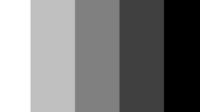 Color:Lusq1tan5dg= Monochrome