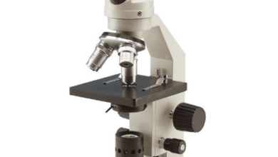 Diagram:Anho9uz3aos= Microscope Labeled