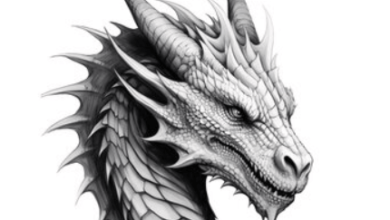 Dragon:9zl0bjuuok8= Drawing