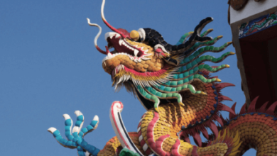 Dragon:D_X6o9jv0uy= China