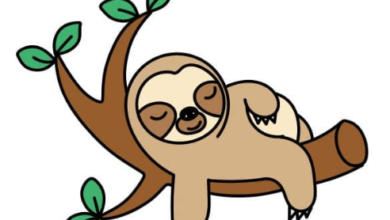 Drawing:9tpejibhbbo= Sloth