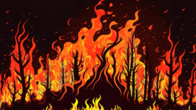 Drawing:Ir6gbg1cz8w= Flame