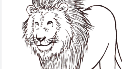 Drawing:Tqg7rsmzrv8= Lion
