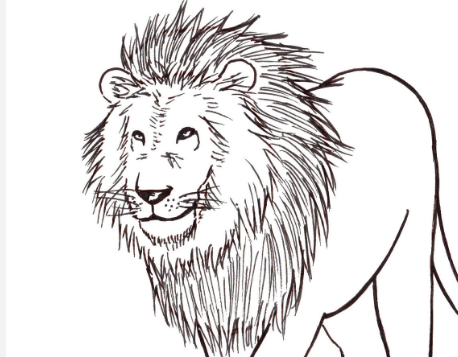 Drawing:Tqg7rsmzrv8= Lion