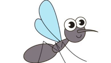 Drawing:Wifbrgz4m0o= Mosquito