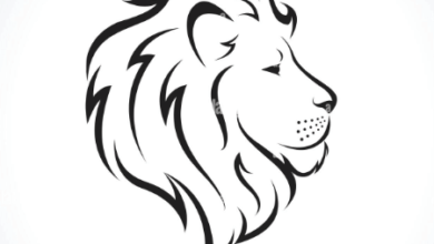 Easy:Tqg7rsmzrv8= Lion