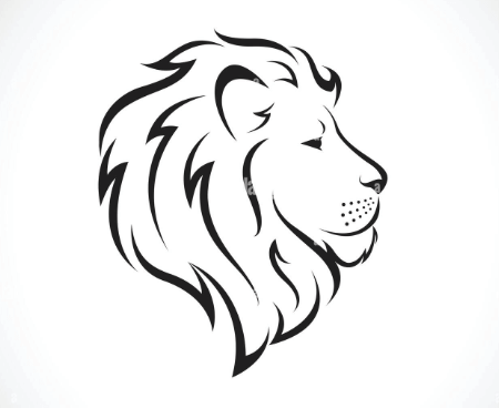 Easy:Tqg7rsmzrv8= Lion