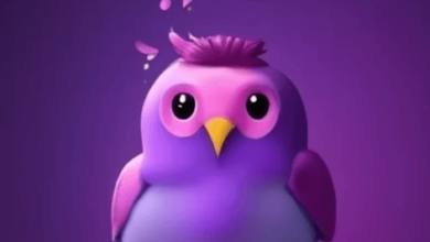 Pink:Ma8tamv0td8= Duolingo