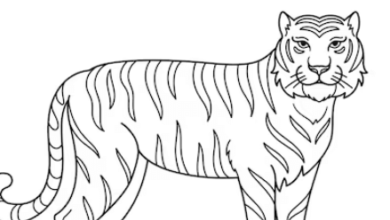 Sketch:Uye9dl1im6e= Tiger
