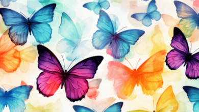 Wallpaper:Acpdg-1s3ts= Butterfly Background
