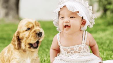 Baby:91jr2ozelcq= Puppys