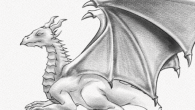 Drawing:5z_Boyjkm98= Dragon