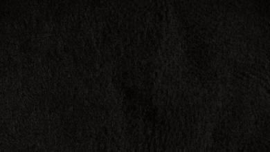 Colour:F-Qcgnn5u6s= Dark:Zmohq7mqaew= Black