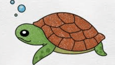 Drawing:Sntboprbahm= Turtel