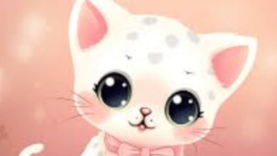 Anime:K3umo81qnas= Kitten