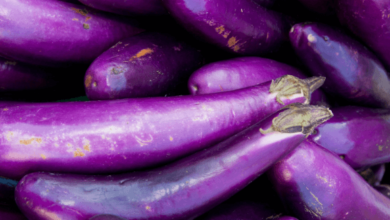 Purple:Iiq2phr1r5i= Eggplant