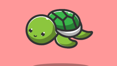 Cute Small Turtle