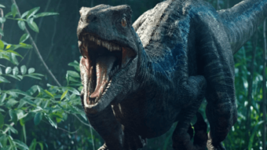 Dinosaur:Imxb5k8elpa= Velociraptor