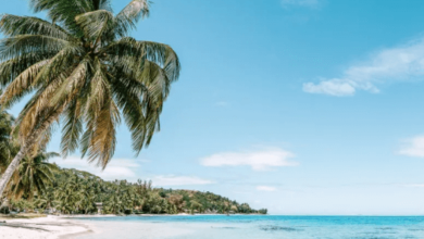 Beautiful:1lsfxpy_Qdg= Beach Photos