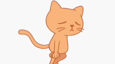 Animated:Nml6oj_Hlpa= Gifs