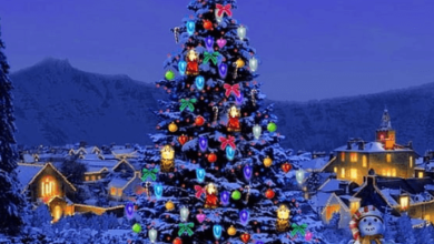 Beautiful:Jrsvfze8q5y= Christmas