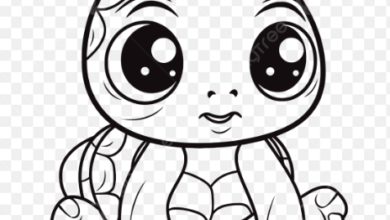 Big Eyed Turtle Drawing