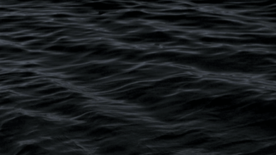 Colour:Engppek7who= Dark:Zmohq7mqaew= Black